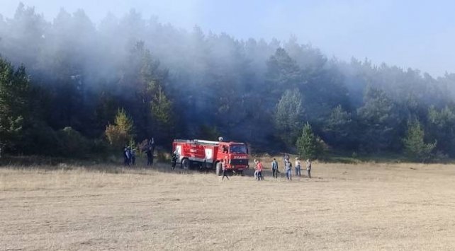 Ordu’da orman ve örtü yangını kontrol altına alındı