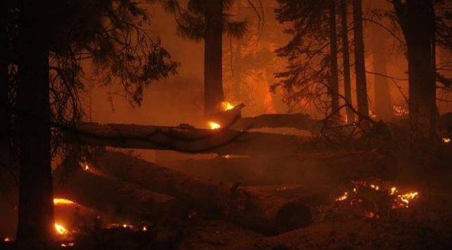 Colorado eyaletindeki yangınlar durdurulamıyor