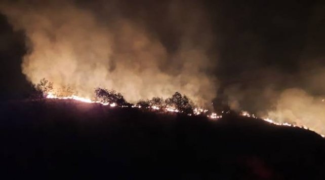 Hatay’da makilik alanda yangın