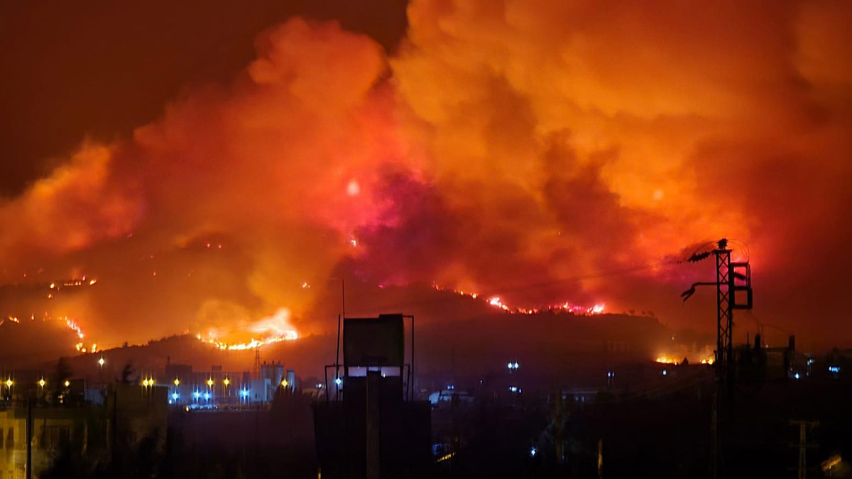 Hatay ve Mersin’de orman yangını