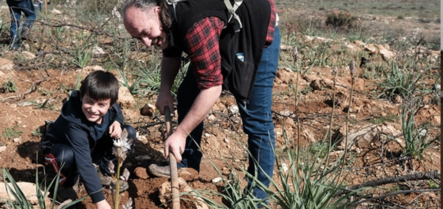 Çamlıbel’de iki hektarlık alan yeşillendirildi