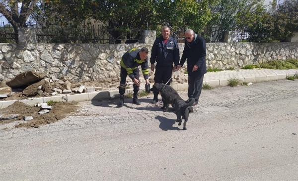 Girne Belediyesi ile Girne İtfaiye Birimleri, Girne’de yağmur suyu gider borusu içerisinde mahsur kalan yavru köpekleri kurtardı