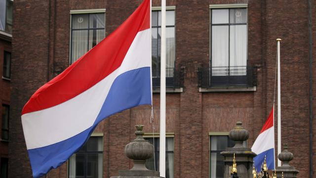 Hollanda’da yerel seçimin galibi yerel partiler oldu