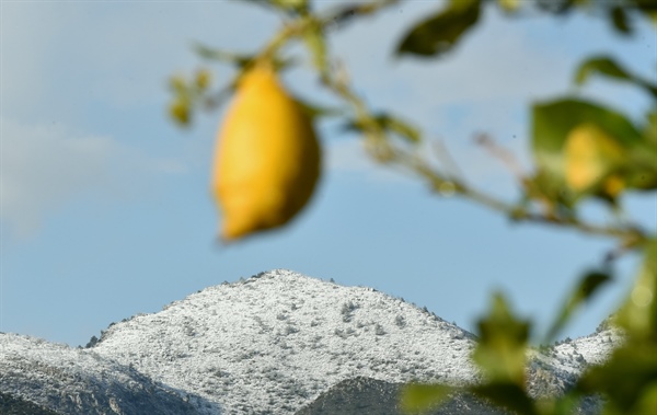 “Mart ayı hava sıcaklığı, son 46 yılın en düşük seviyesinde”