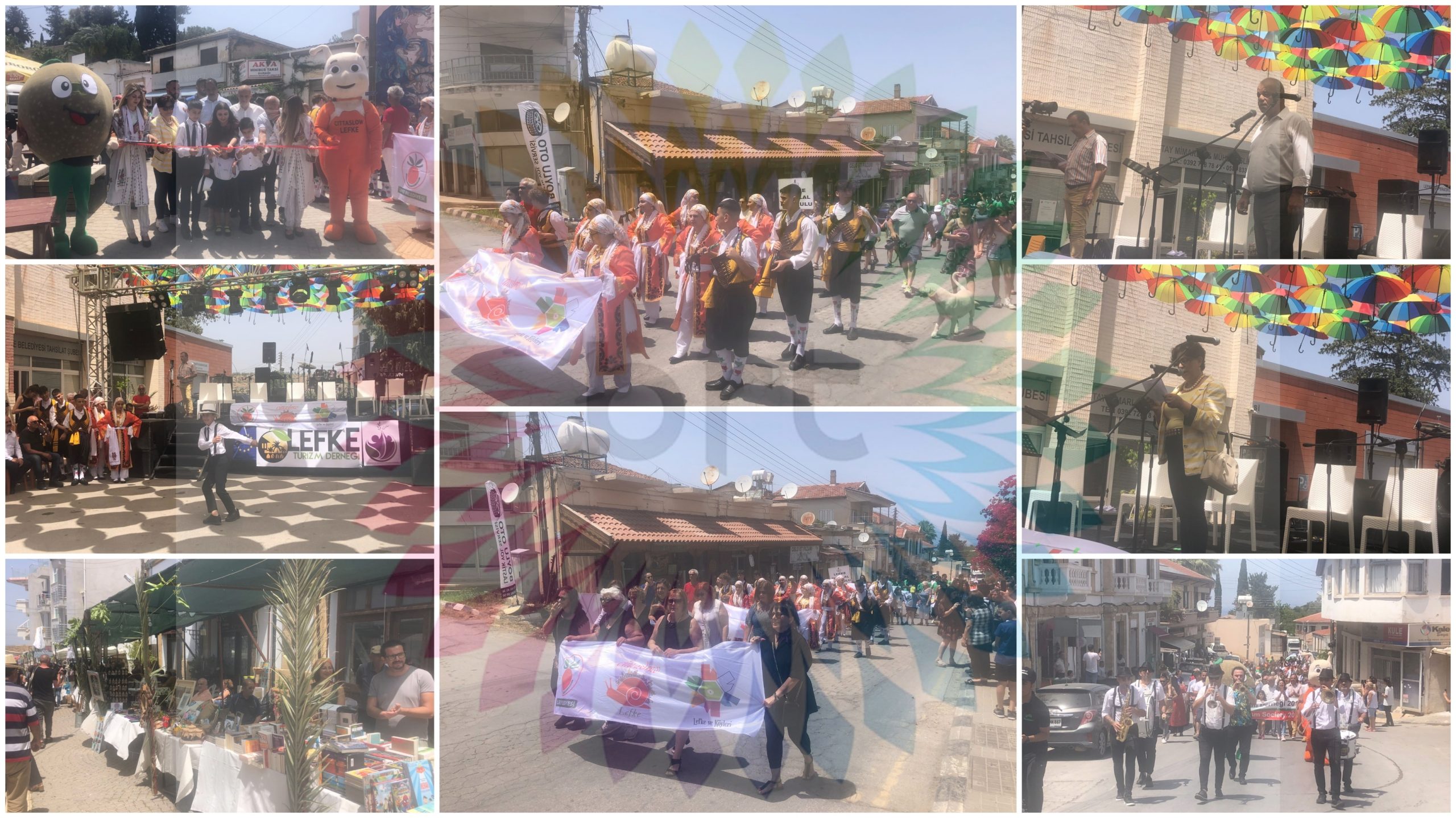 Ceviz Festivali başladı
