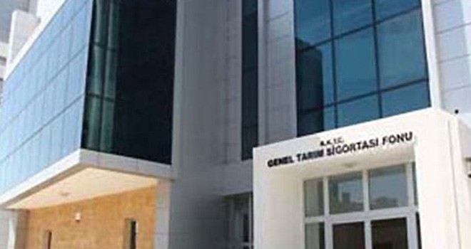 Patates beyan listeleri Cuma’ya kadar askıda kalacak