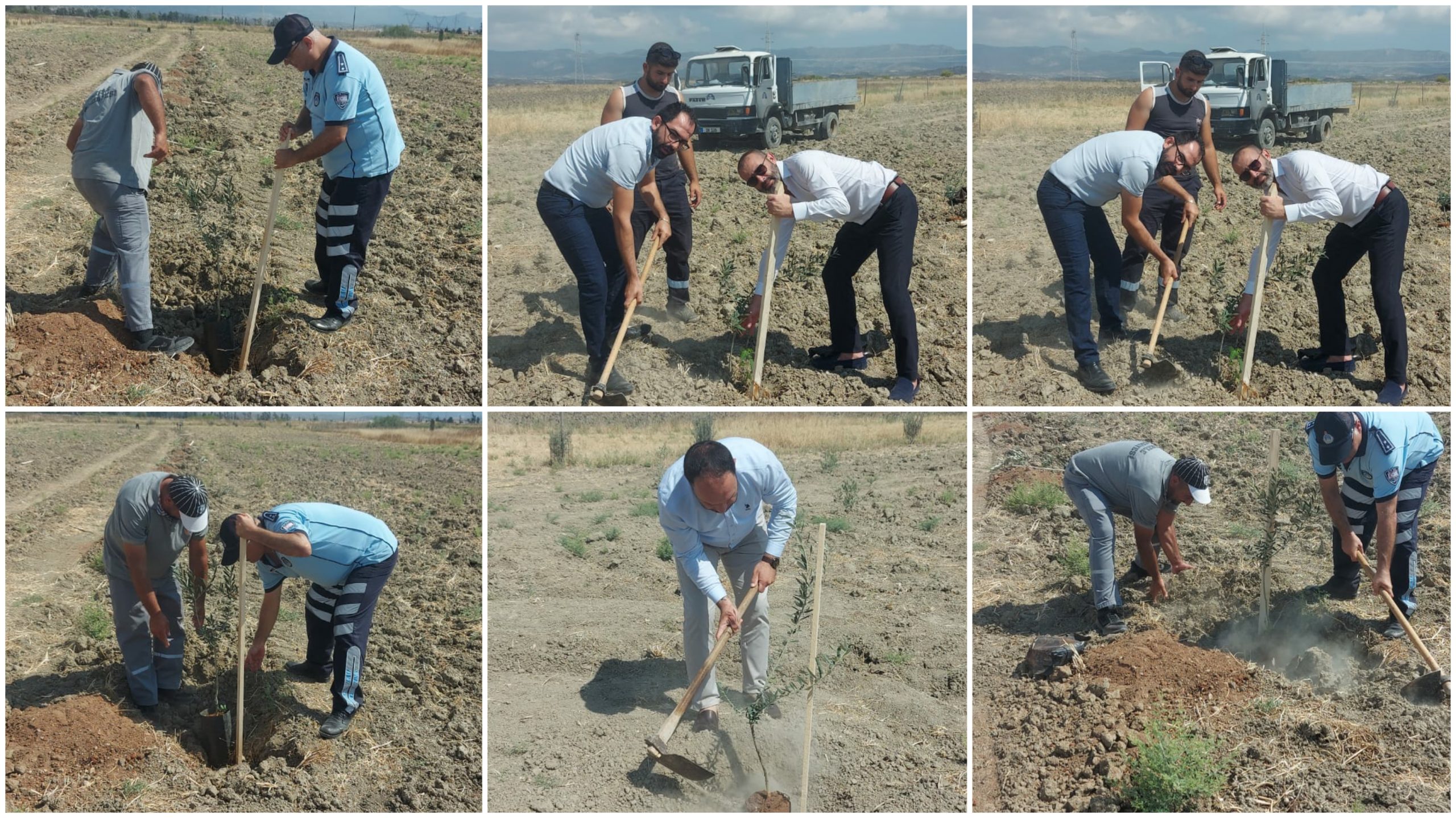 Babalar Günü etkinliğinde İskele’ye fidan dikildi