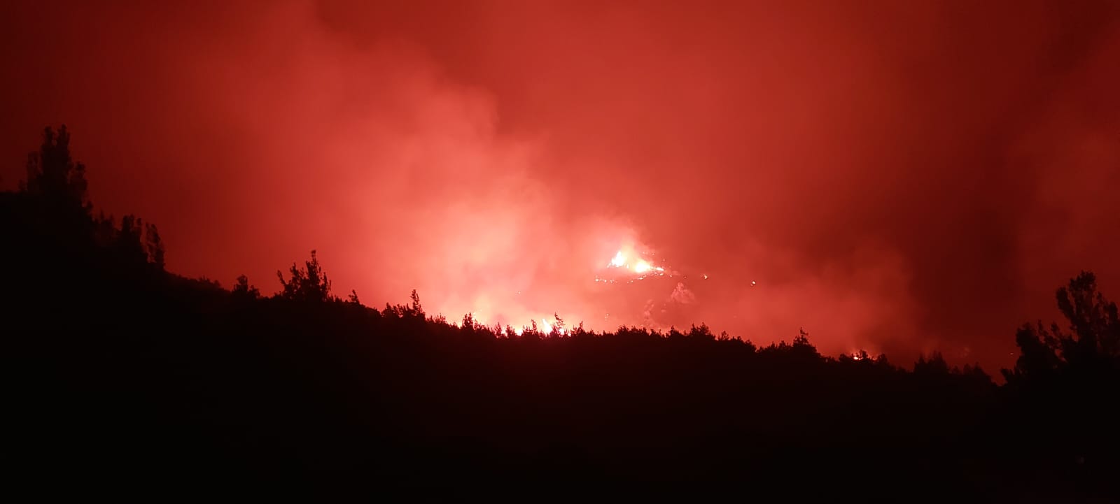 Yangın Kantara’ya sirayet etti