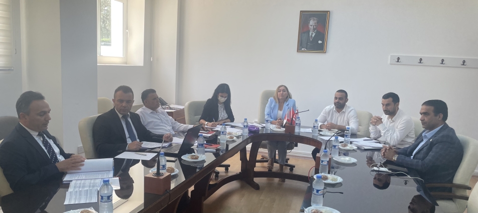 Hukuk, Siyasi İşler ve Dışilişkiler Komitesi toplandı