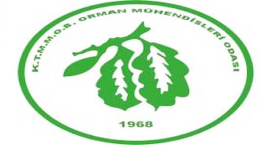 Orman Mühendisleri Odası, yangının söndürülmesinde yetersiz kalındığını ve eksiklikler bulunduğunu savundu