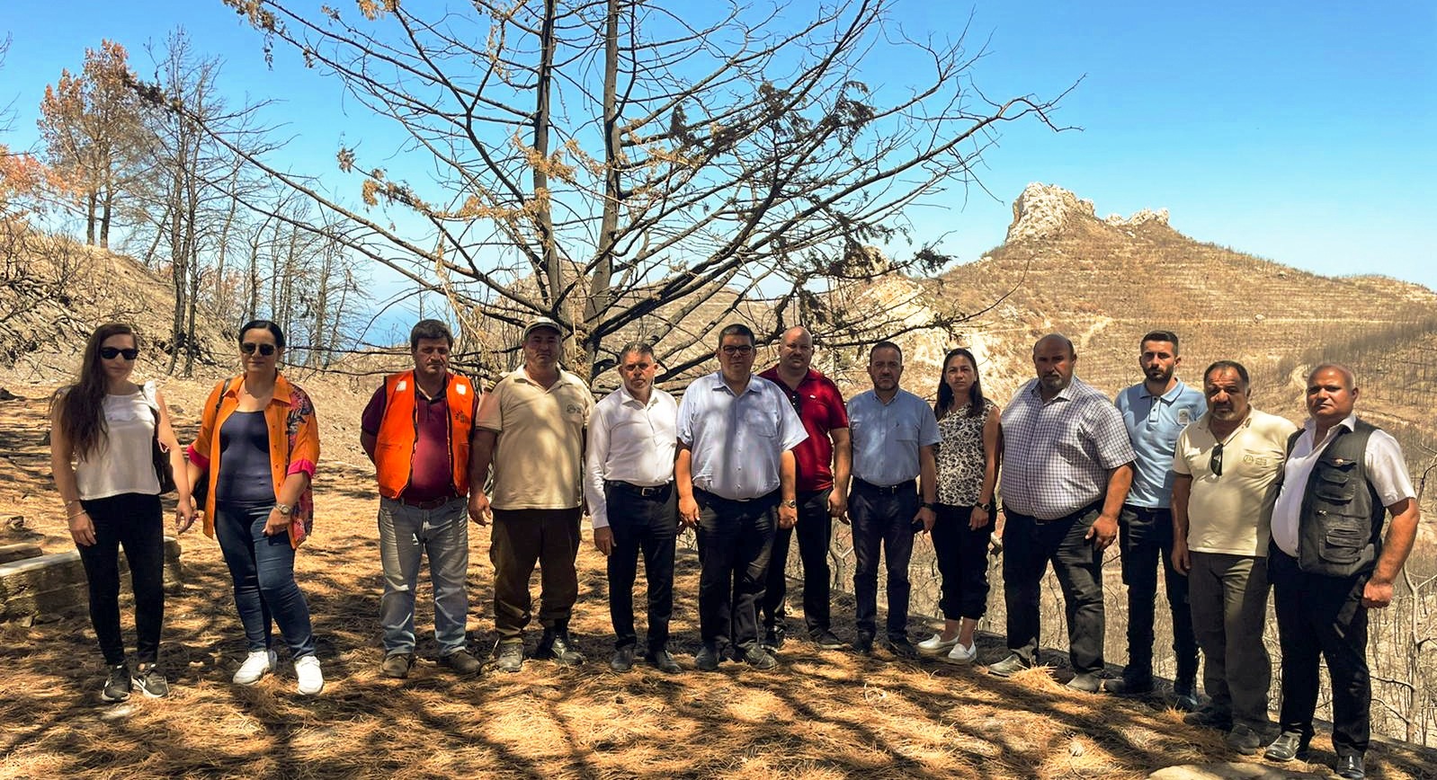 Meclis Araştırma Komitesi, yangın bölgesini yerinde inceledi