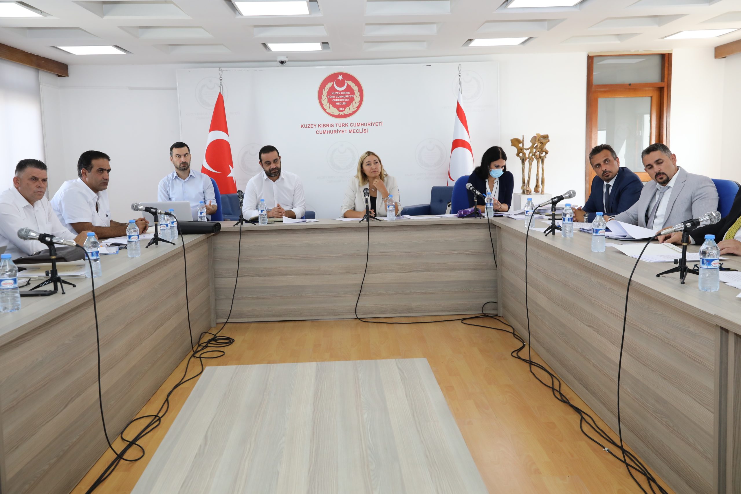 Hukuk, Siyasi İşler ve Dışilişkiler Komitesi “Dijital Dönüşüm ve Elektronik Devlet (E-Devlet) (DD-EDİ) İdaresi Yasa Önerisi”ni ele aldı