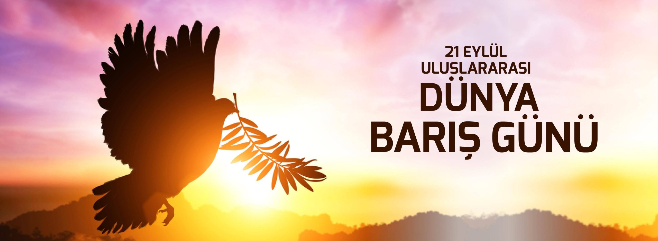 Uluslararası Barış Günü nedeniyle yarın ara bölgede etkinlikler yapılacak