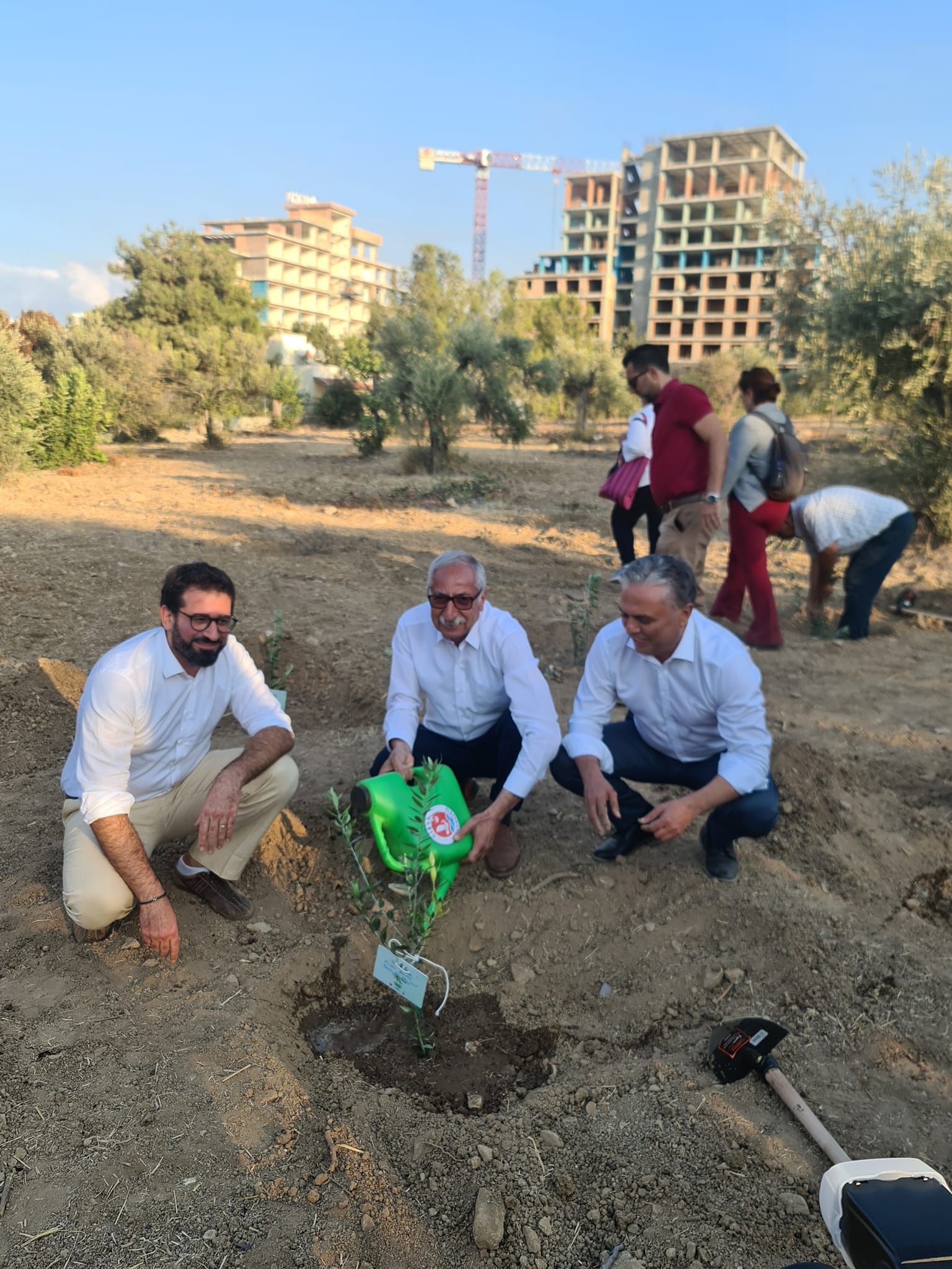 Yeşil Şehirden Yeşil Adaya Projesi’ kapsamında ilk zeytin fidanlari dikildi