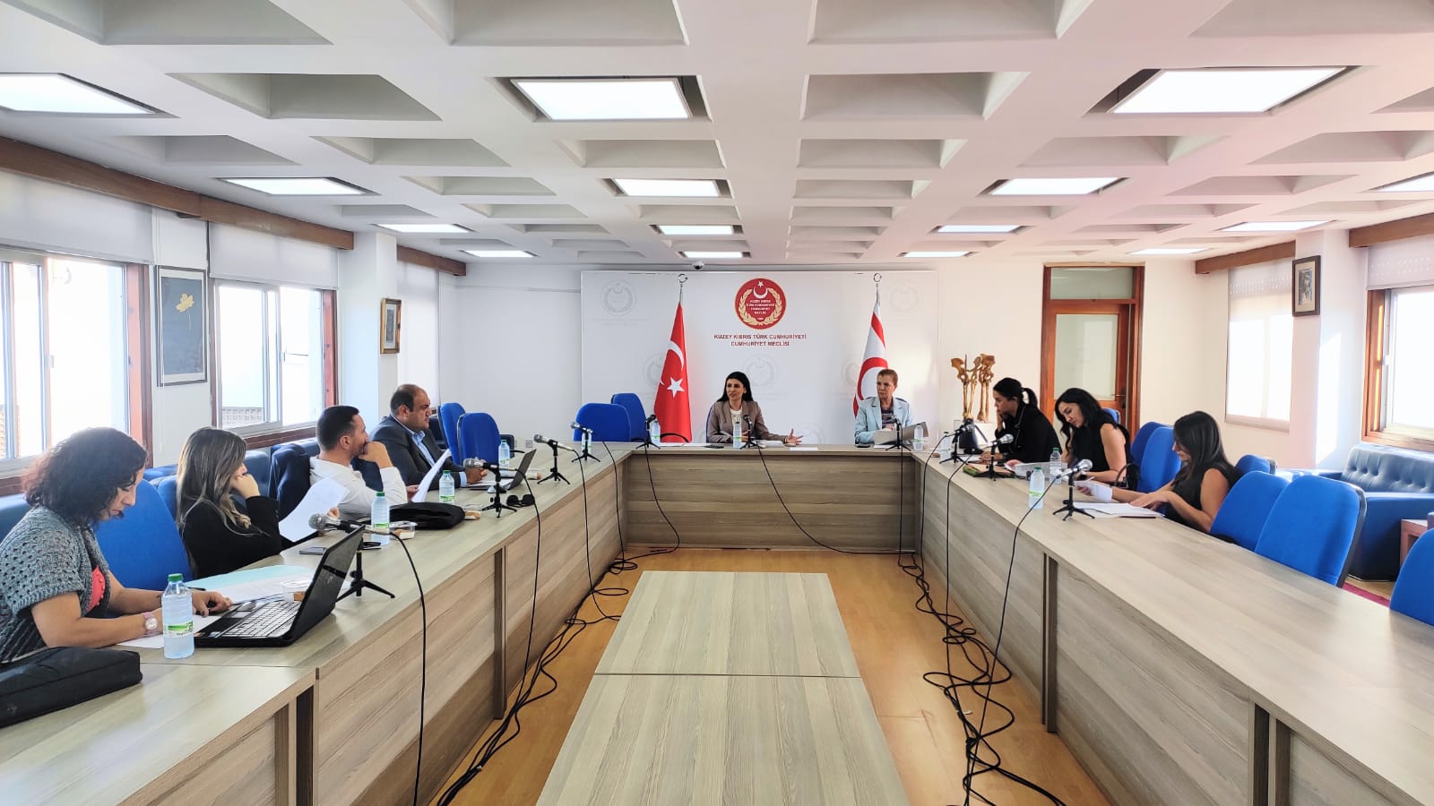 Yasalardaki Cinsiyet Ayrımcılığını İzleme Komitesi toplandı