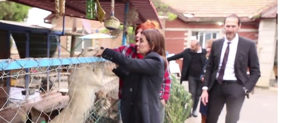 BRTK ve ASBANK sokak hayvanlarını unutmadı; “Sessiz Dostlar”