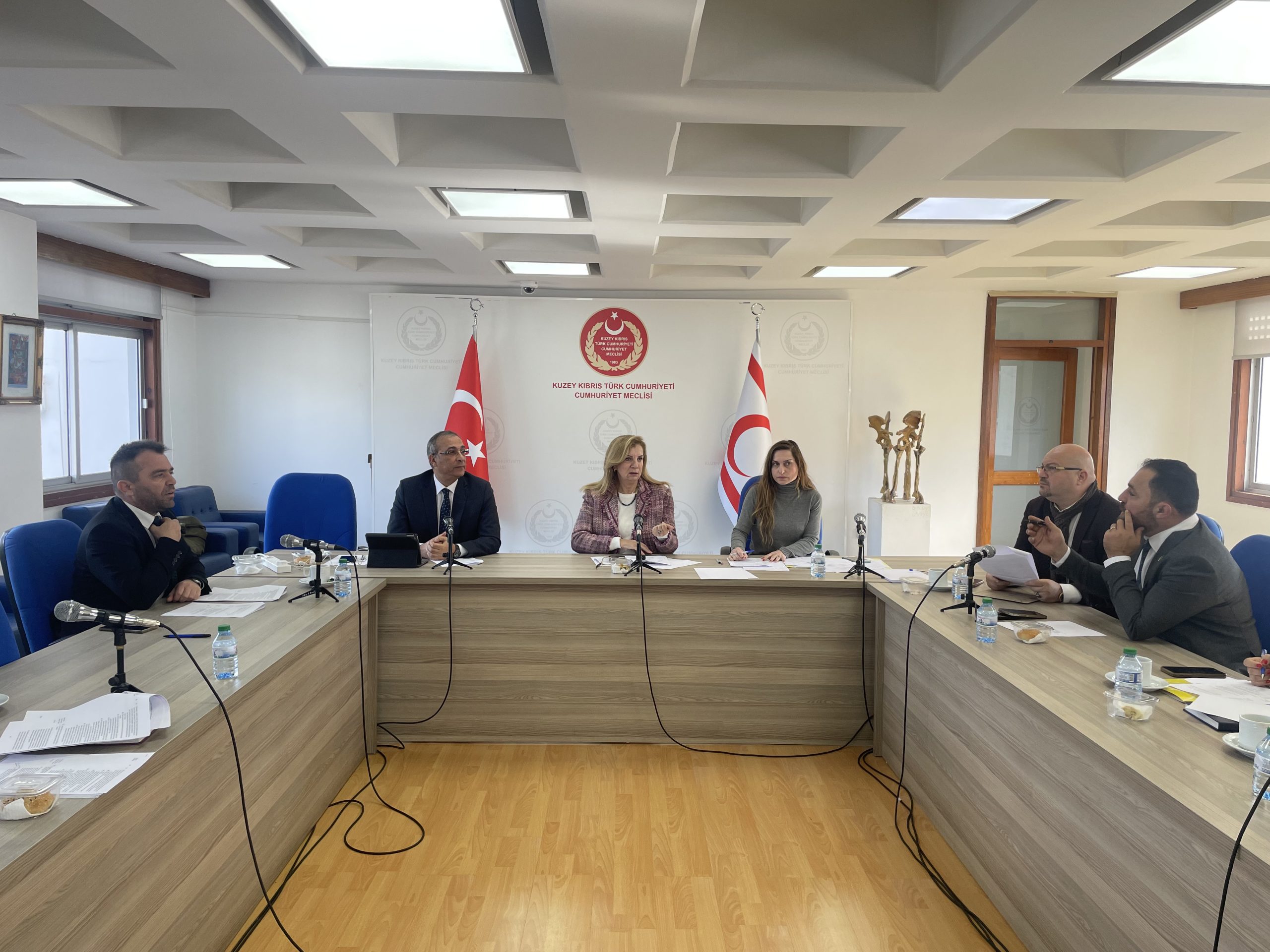 “Katma Değer Vergisi (Değişiklik) Yasa Tasarısı” oybirliğiyle onaylayarak Genel Kurula gönderildi