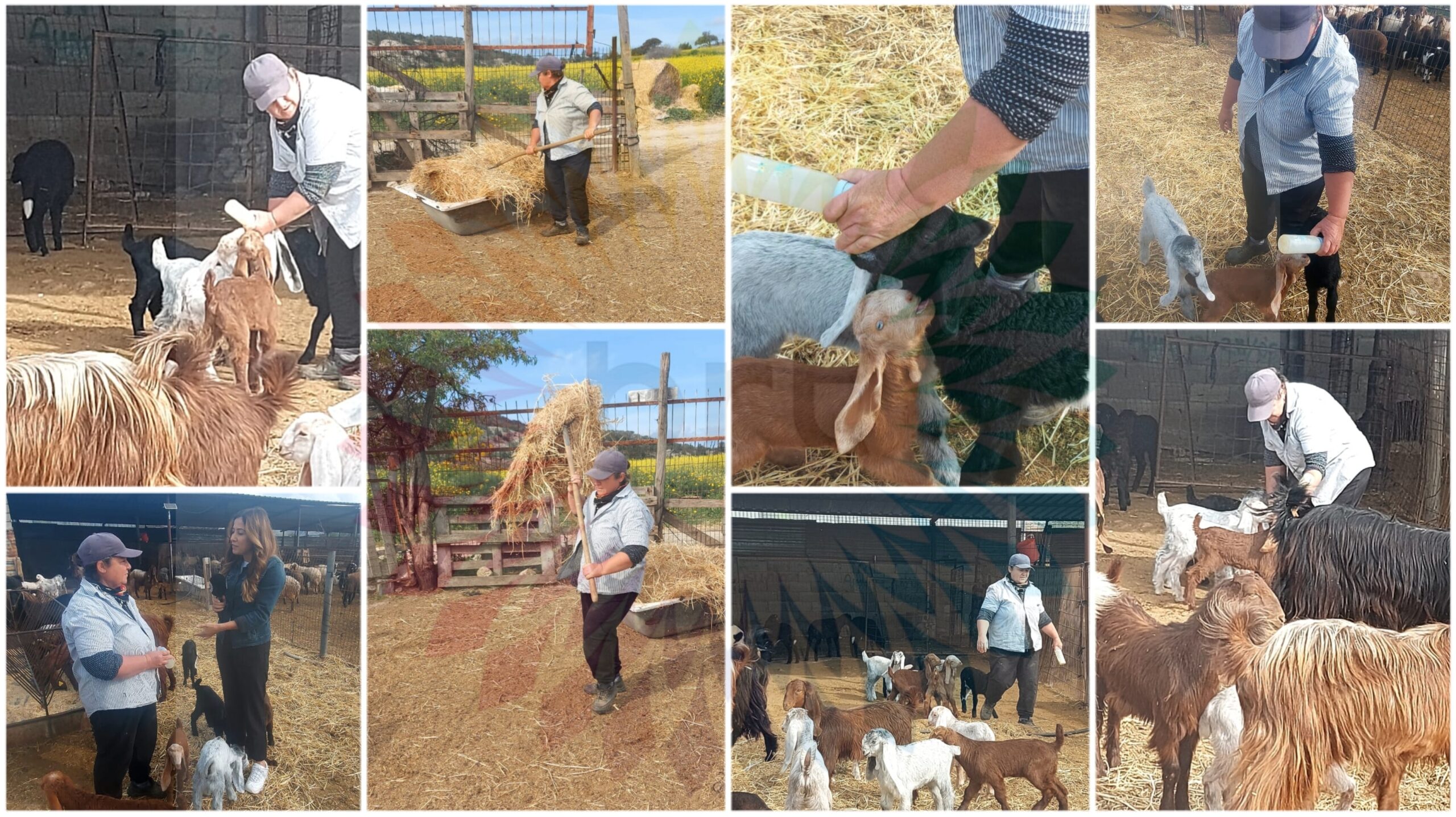 Emekçi kadınlar sorunlarını düşüncelerini  BRT’ye aktardı