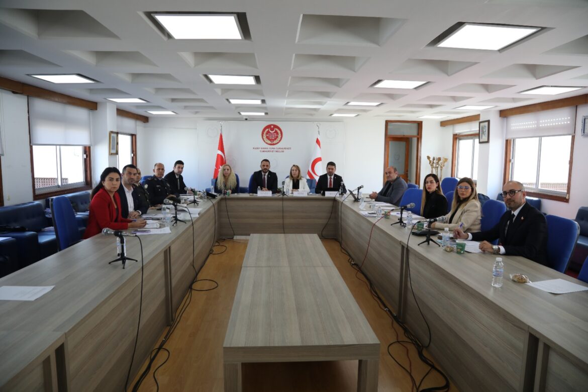 Meclis komitesinde Konut Edindirme ve Polis Örgütü yasa tasarıları ele alındı