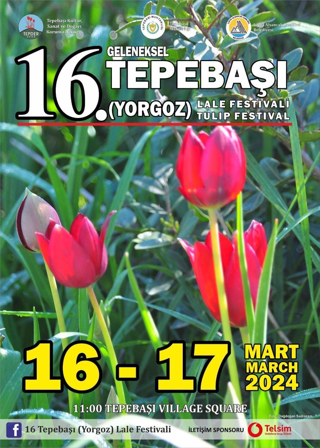 16. Tepebaşı (Yorgoz) Lale Festivali hafta sonu yapılıyor