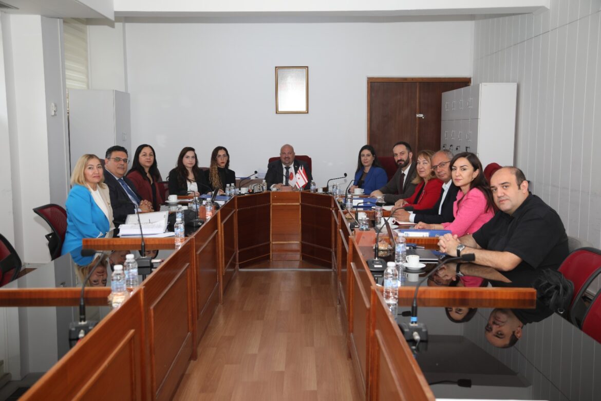 Yükseköğrenim kurumları ve YÖDAK’la ilgili Meclis araştırma komitesi YÖDAK Başkanı Hocanın’ı dinledi