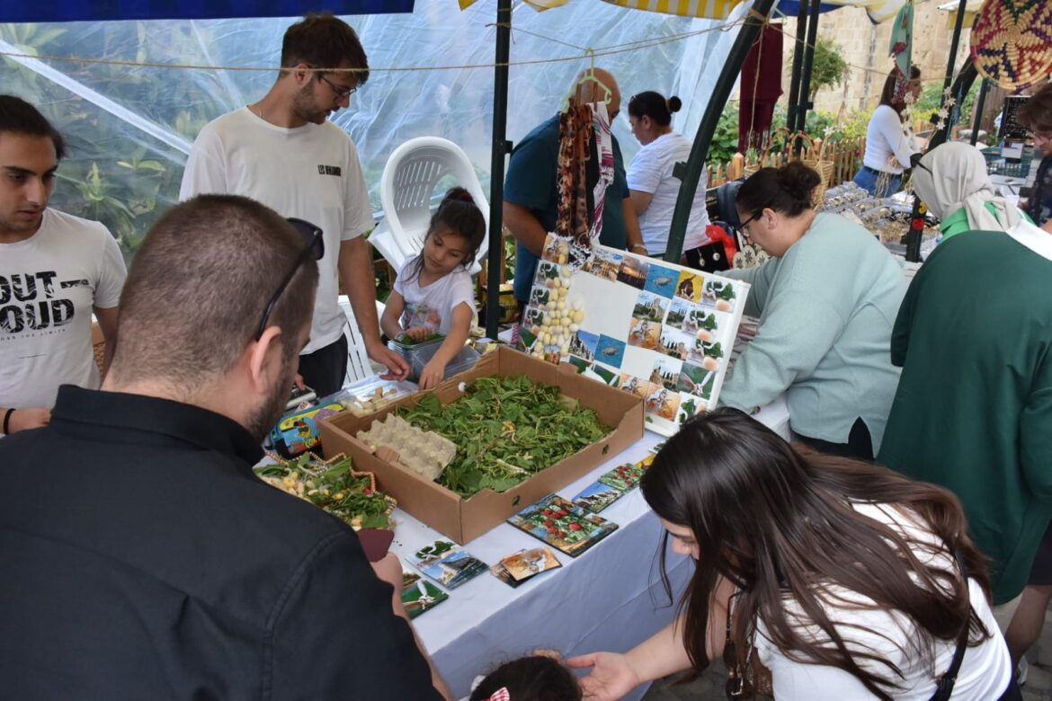 19. Kıbrıs İpek Koza Festivali sona erdi