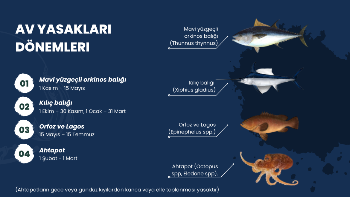 Su ürünleri dönemsel av yasakları konusunda bilgilendirme yapıldı