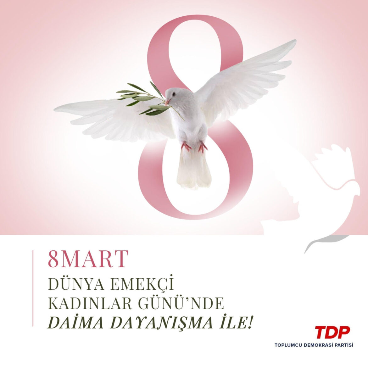 TDP, 8 Mart Dünya Emekçi Kadınlar Günü dolayısıyla mesaj yayımladı