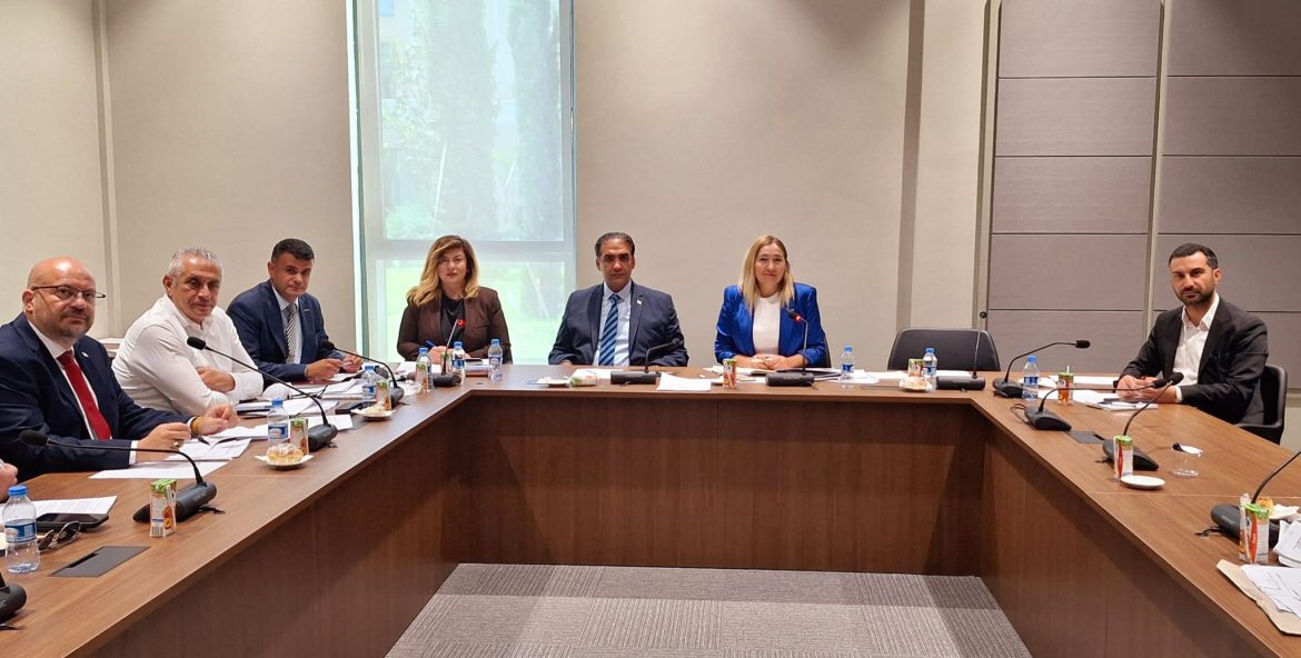 Cumhuriyet Meclisi, Hukuk, Siyasi İşler, Dışilişkiler ve Savunma Komitesi toplandı