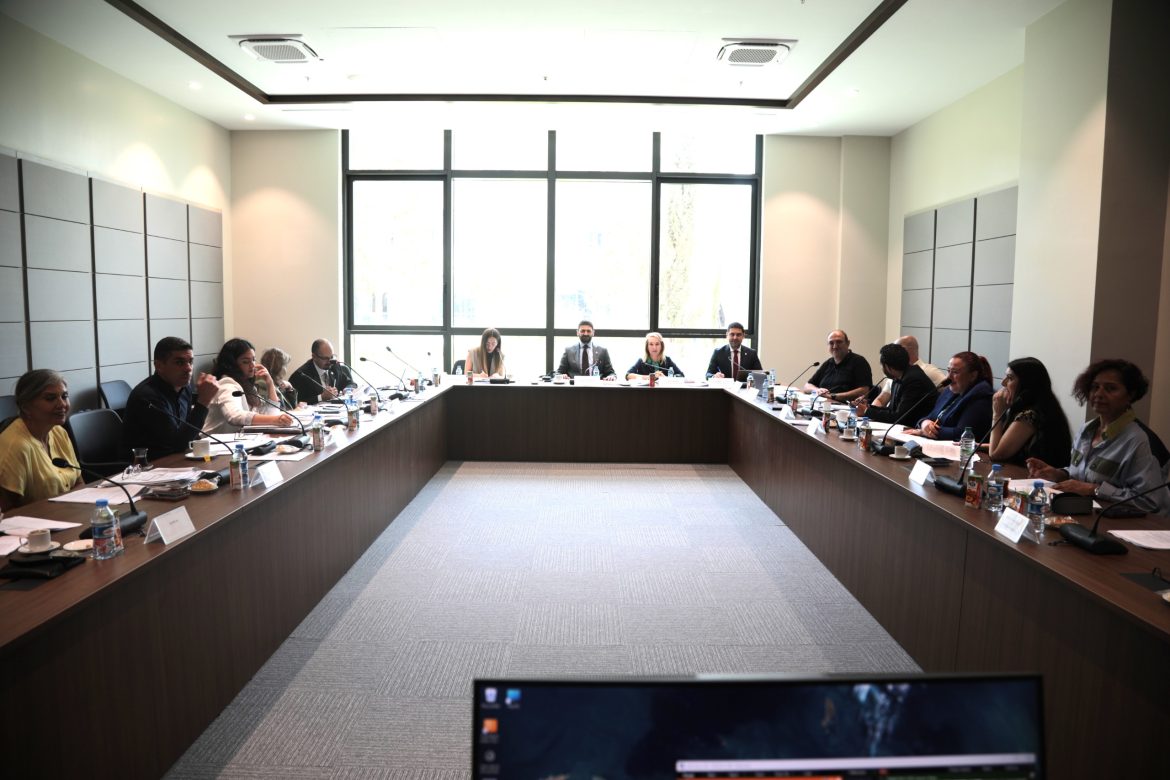 Cumhuriyet Meclisi, İdari, Kamu ve Sağlık İşleri Komitesi toplandı