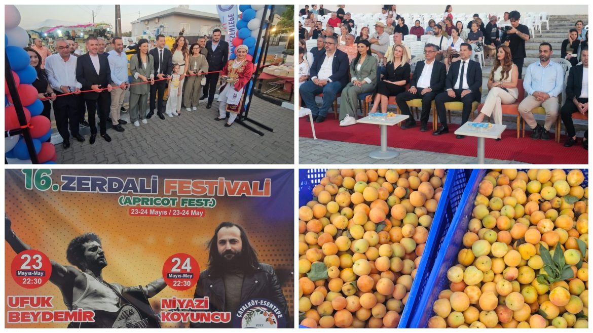 16. Zerdali Festivali  başladı
