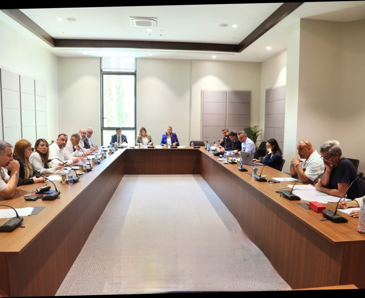 Hukuk, Siyasi İşler, Dışilişkiler ve Savunma Komitesi toplandı