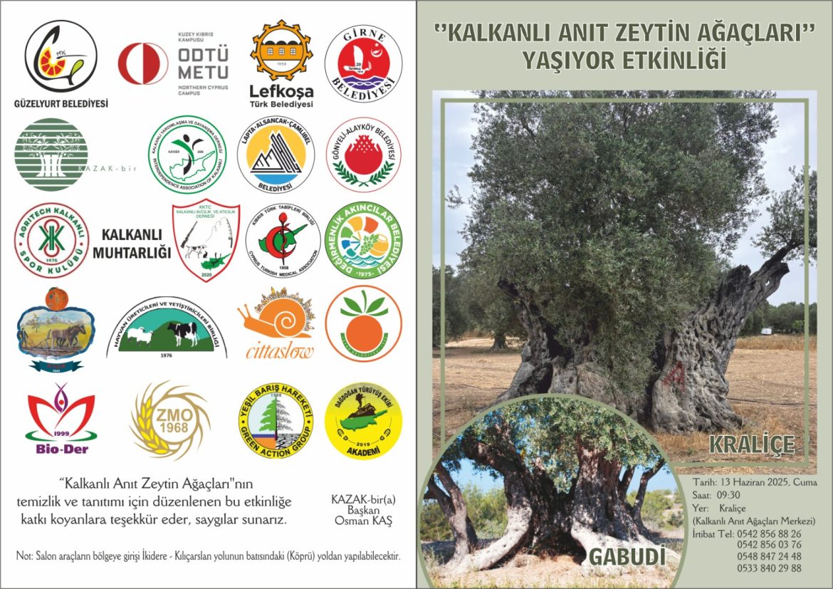 “Kalkanlı Anıt Zeytin Ağaçları Yaşıyor” etkinliği 13 Haziran Cuma günü düzenlenecek