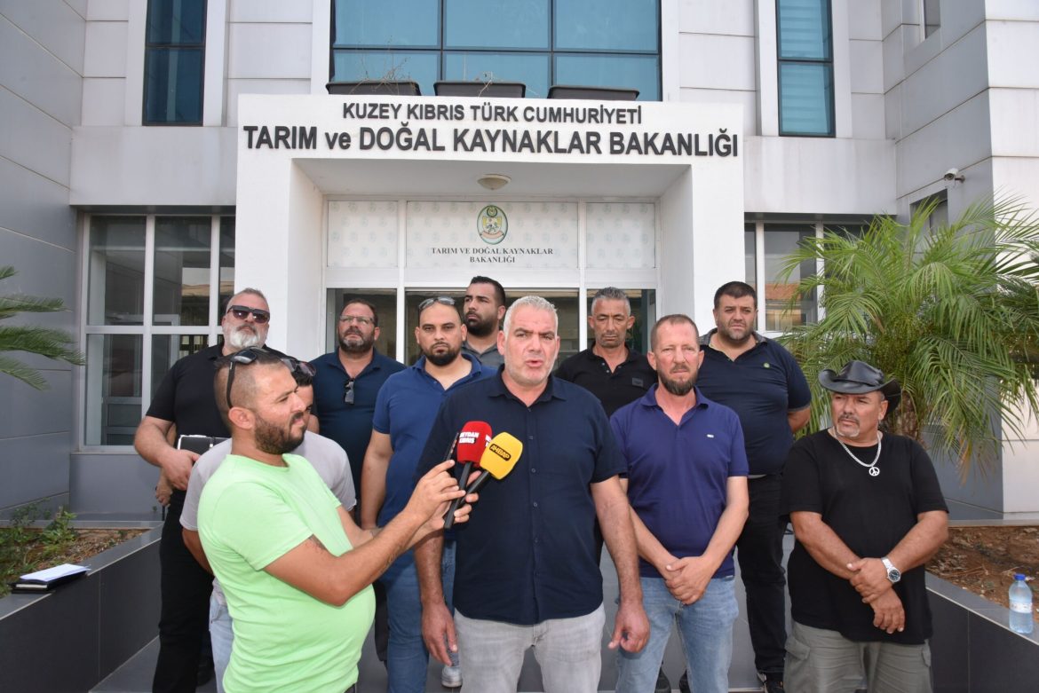 Hayvan üreticileri hükümete seslendi: Artık planlı üretim yapmak istiyoruz
