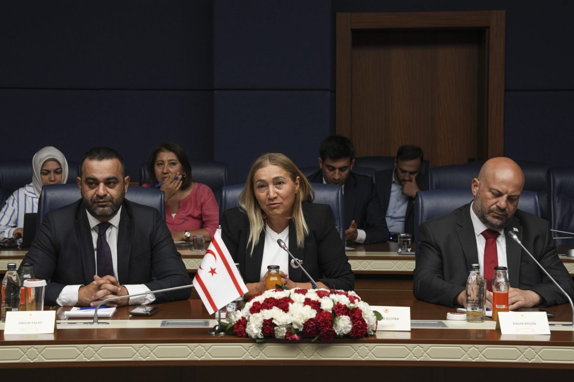 TBMM Güvenlik ve İstihbarat Komisyonu Başkanı Tipioğlu, Cumhuriyet Meclisi heyetiyle görüştü
