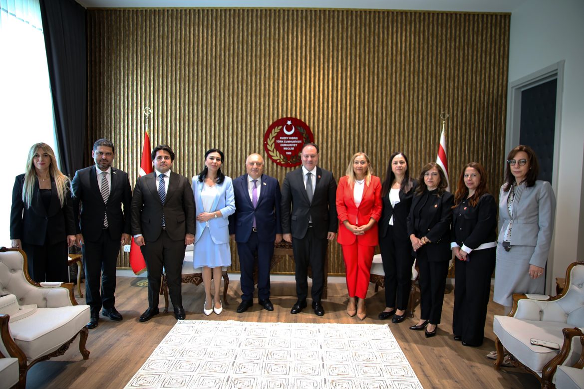 Meclis Başkanı Öztürkler, Yeni Azerbaycan Partisi üyelerini kabul etti